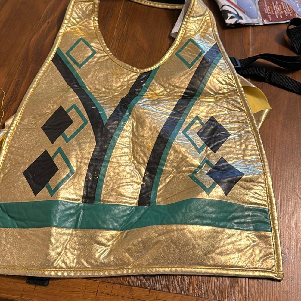 Costume- golden ninja (no mask)